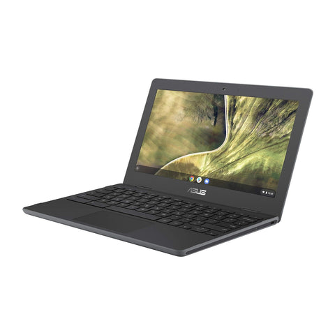 Notebook Chromebook Asus Celeron 4GB 16GB 11.6' HD Chrome Os