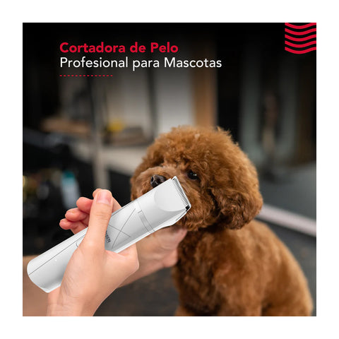 Cortapelo Mascota Thorben Cordless Usb Pet Trimmer 4 En 1