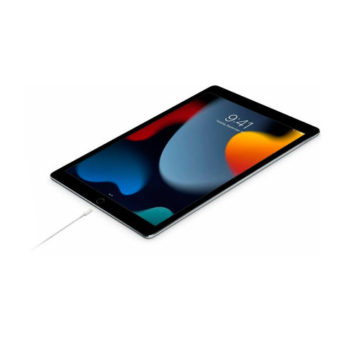 Cable de Datos Apple Lightning a USB- C 2 Metros