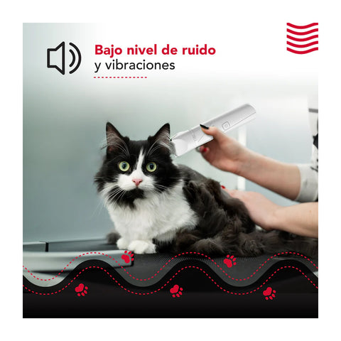 Cortapelo Mascota Thorben Cordless Usb Pet Trimmer 4 En 1