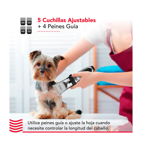 Máquina Corta Pelo Thorben Cordless Usb Pet Clipper