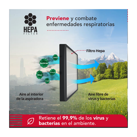 Cepillo y Aspiradora para Mascotas Thorben USB Perros Gatos