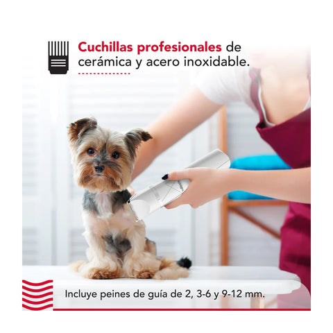 Cortapelo Mascota Thorben Cordless Usb Pet Trimmer 4 En 1