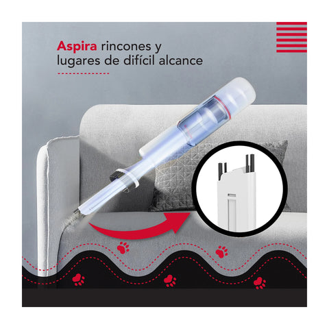 Cepillo y Aspiradora para Mascotas Thorben USB Perros Gatos